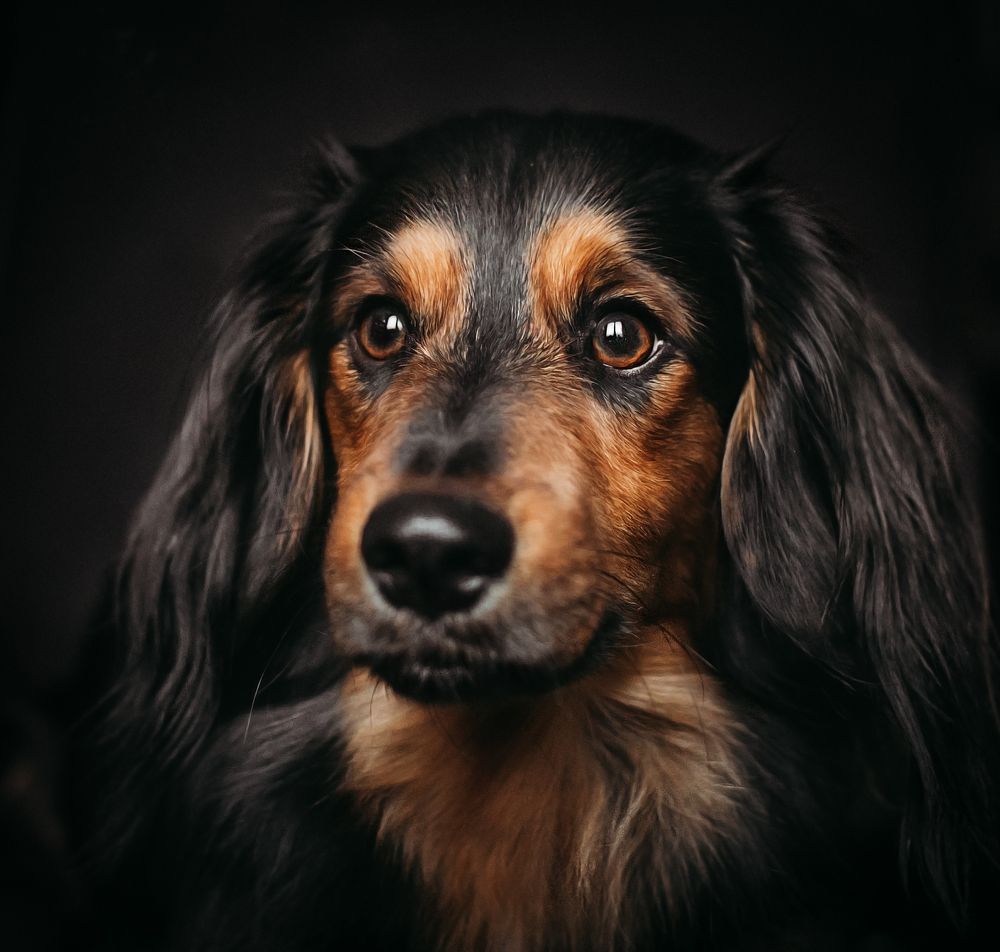 Photograph by Элла Алексеева