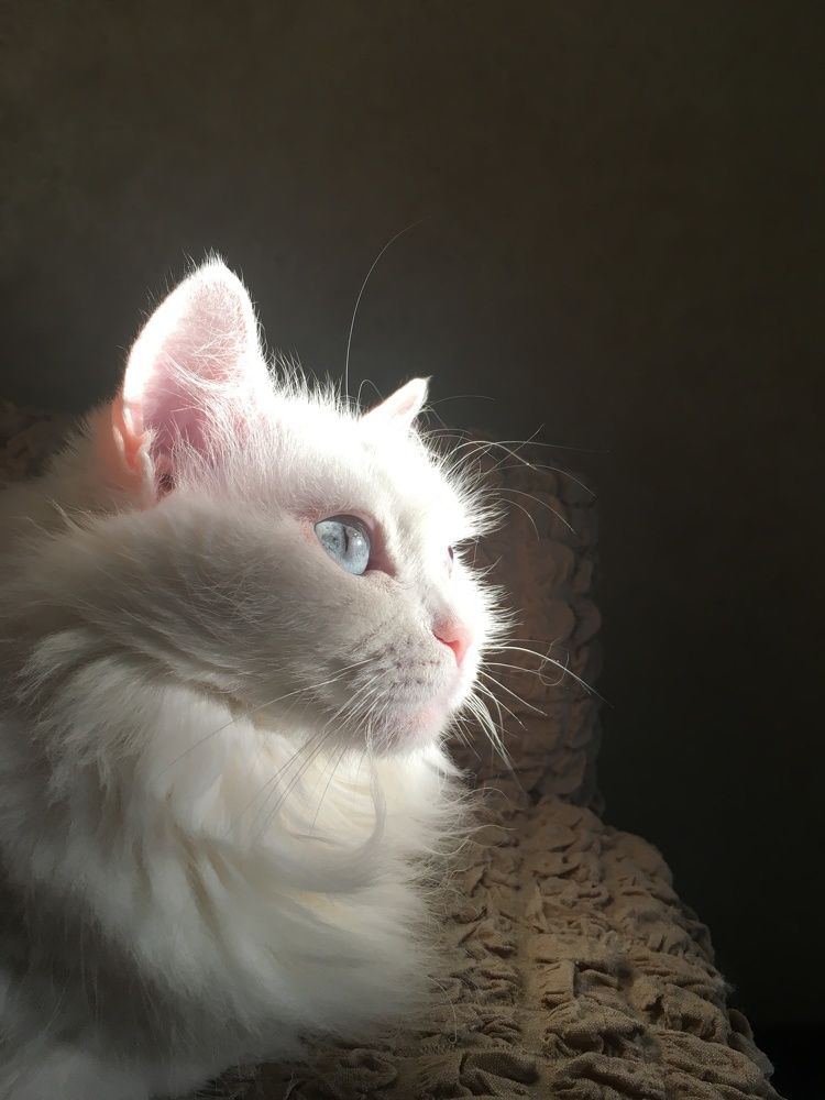 Photograph by Наталья