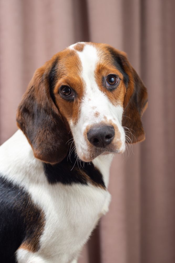 Photograph by Дмитрий Мостовой