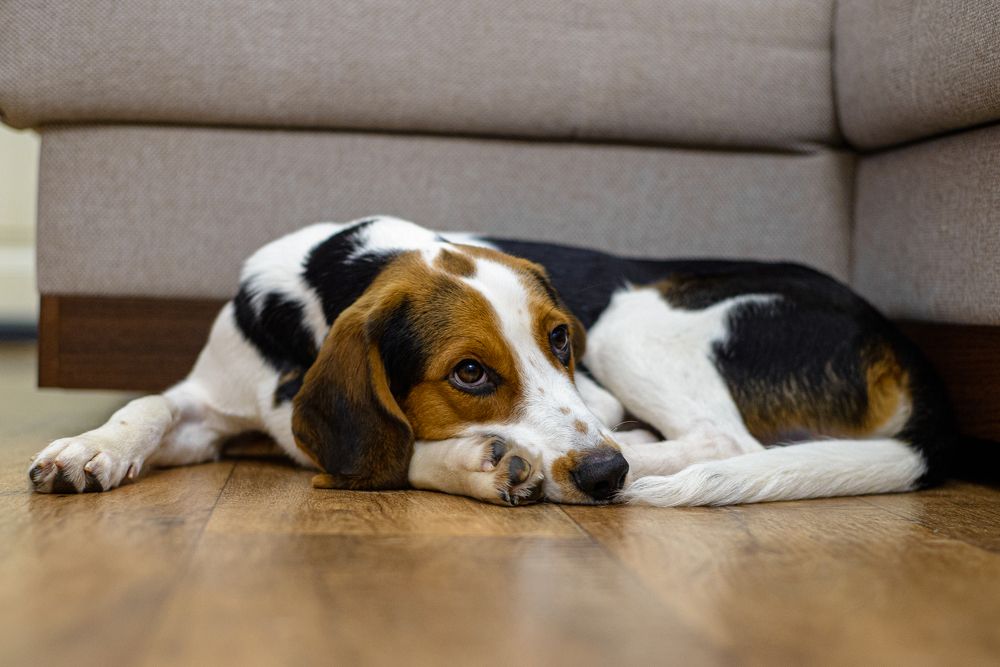 Photograph by Дмитрий Мостовой