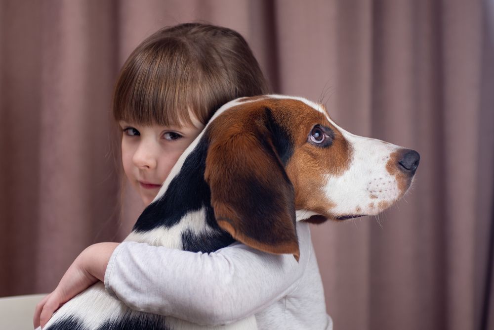 Photograph by Дмитрий Мостовой