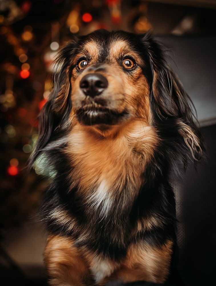 Photograph by Элла Алексеева