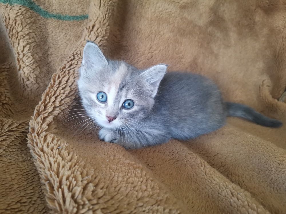 Photograph by Екатерина Исаева