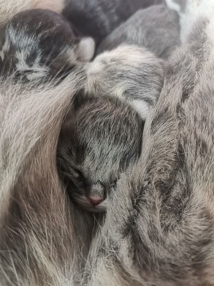 Photograph by Екатерина Исаева