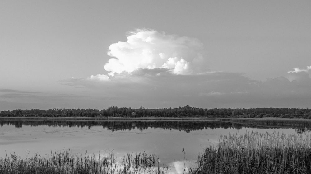 Фотография автора Александр Буренко