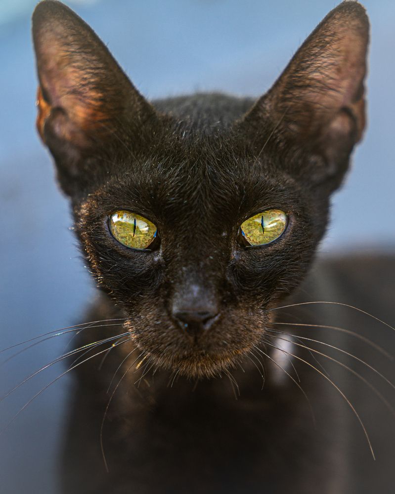 Photograph by Jayakumar MN