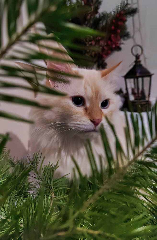 Photograph by ValentinaK