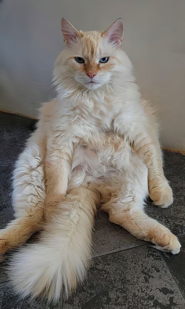 Photograph by ValentinaK