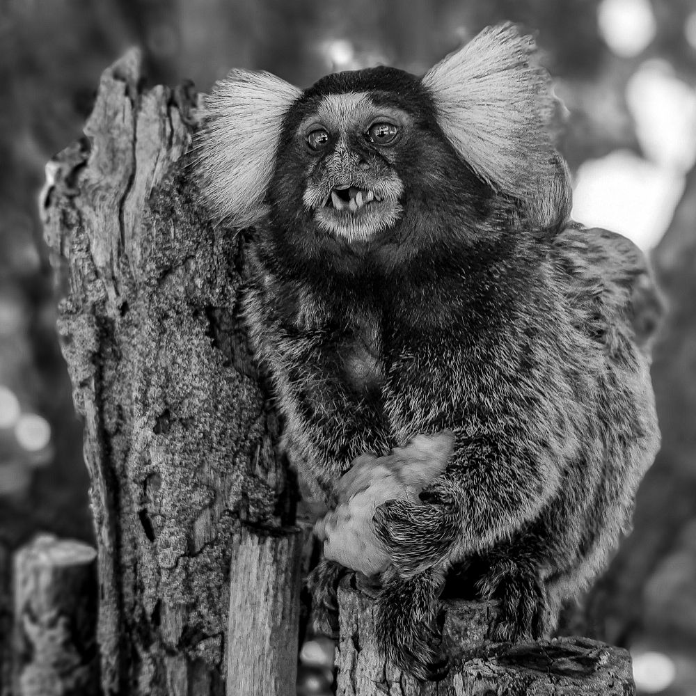 Photograph by Alfredo Barros