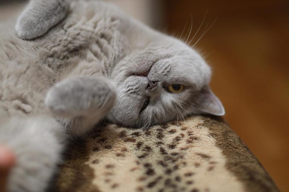 Photograph by Юлия Корчак