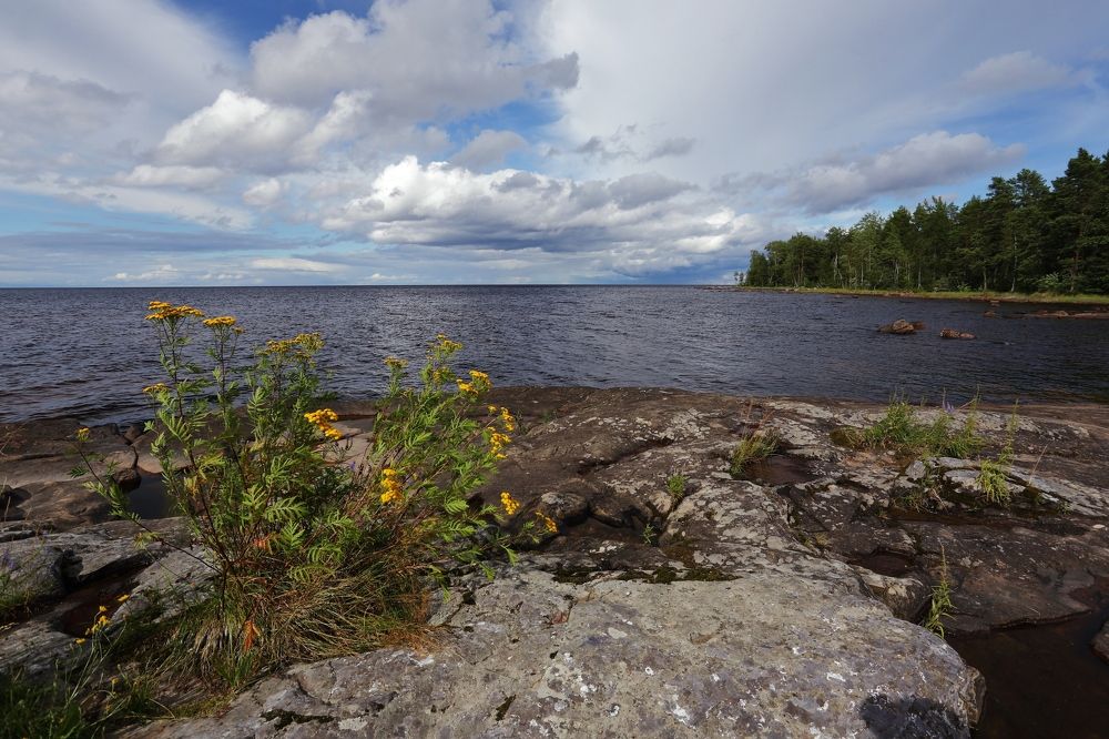 Северное лето.