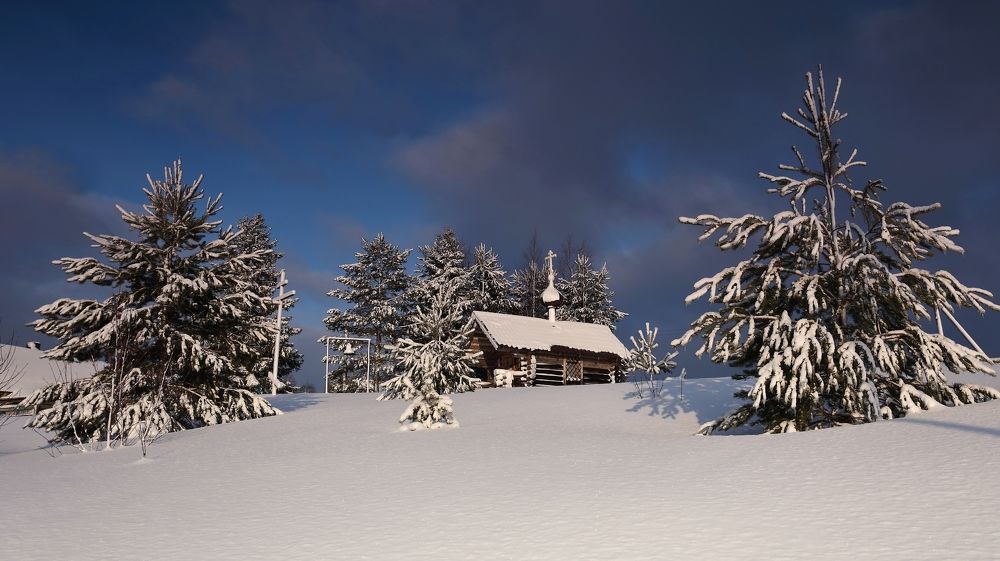 В лесном краю.