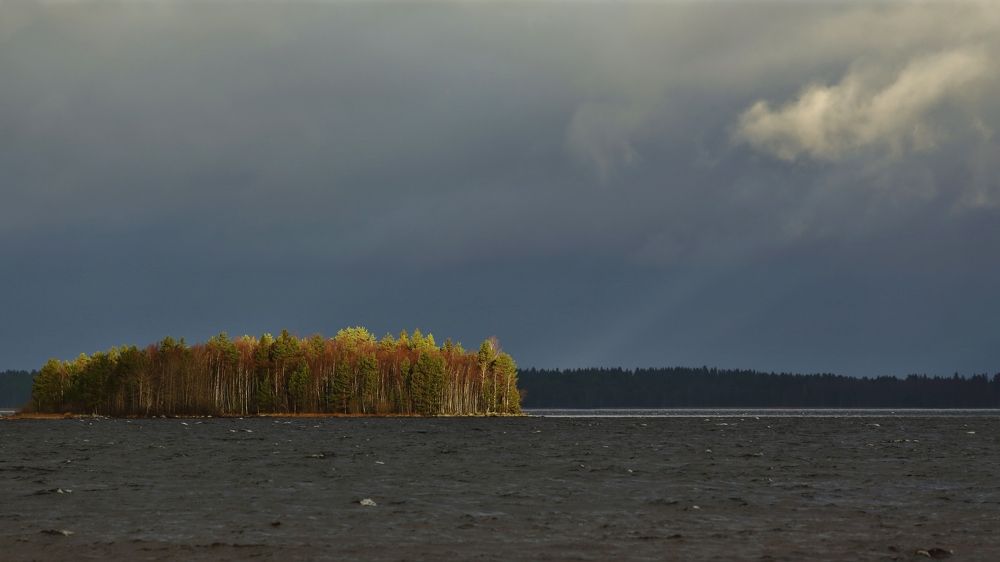 Луч солнца.