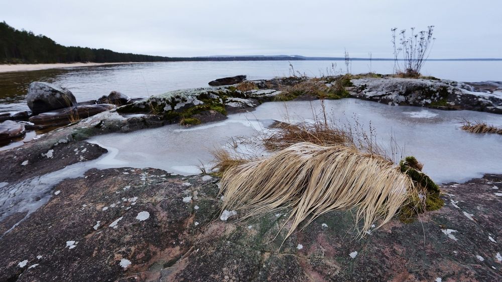 После осеннего шторма.