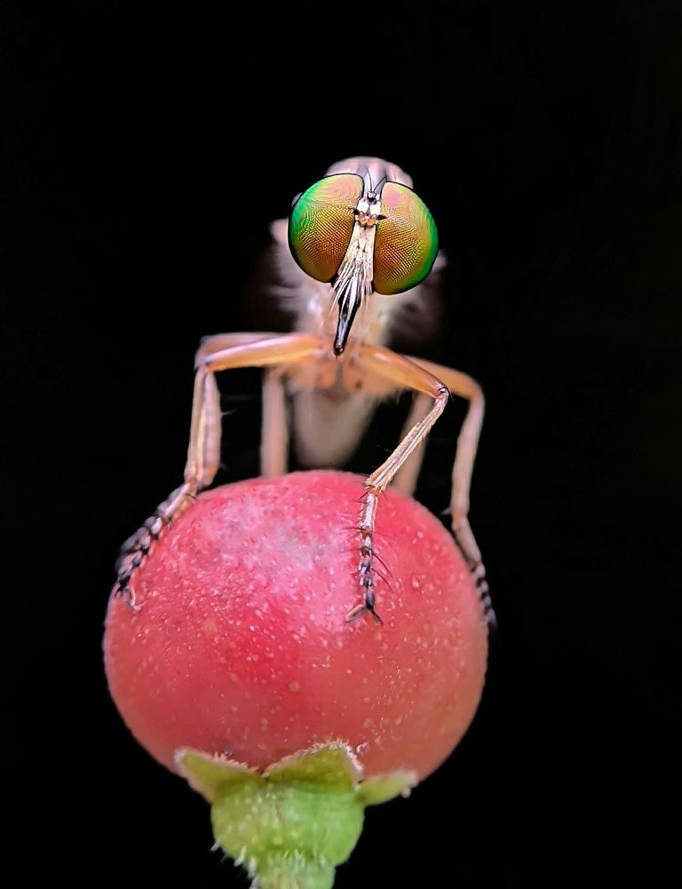 Photograph by Ananta Ghosh