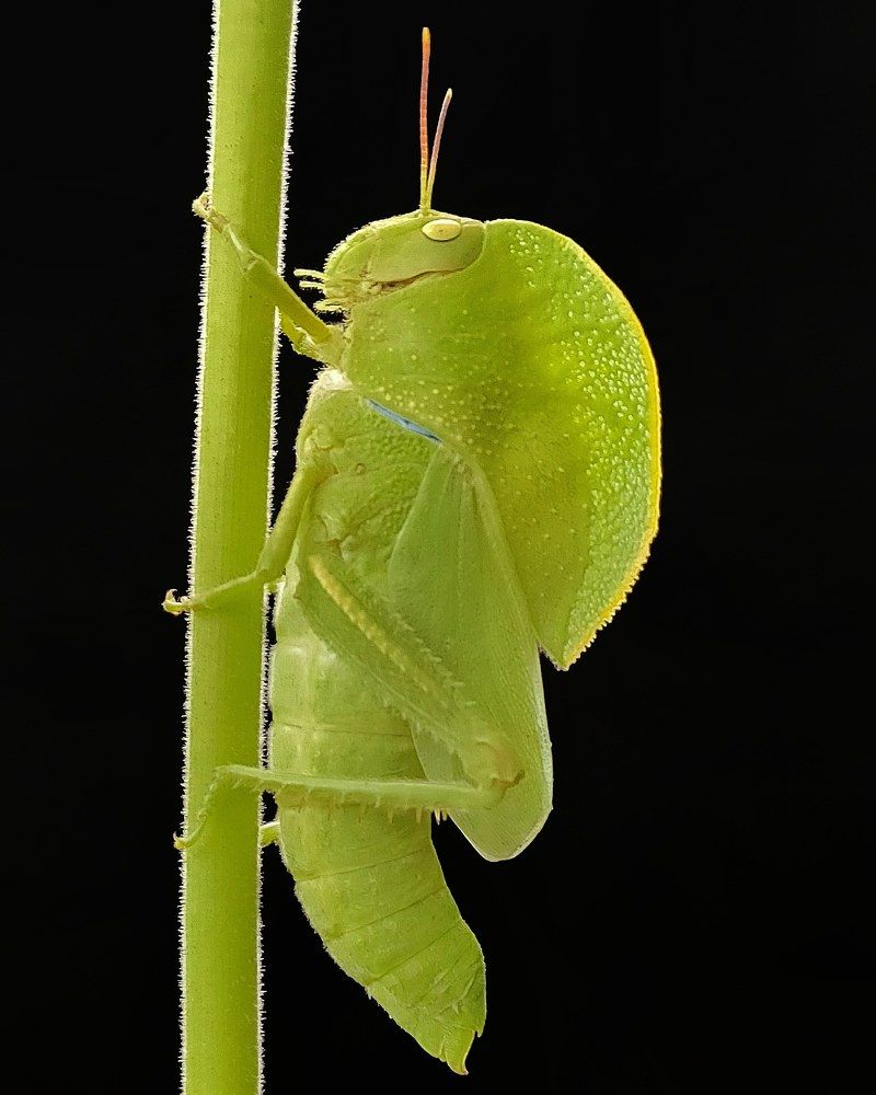 Photograph by Ananta Ghosh