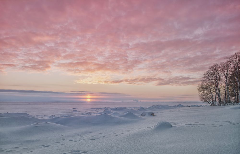 Photograph by Ирина Заколдаева