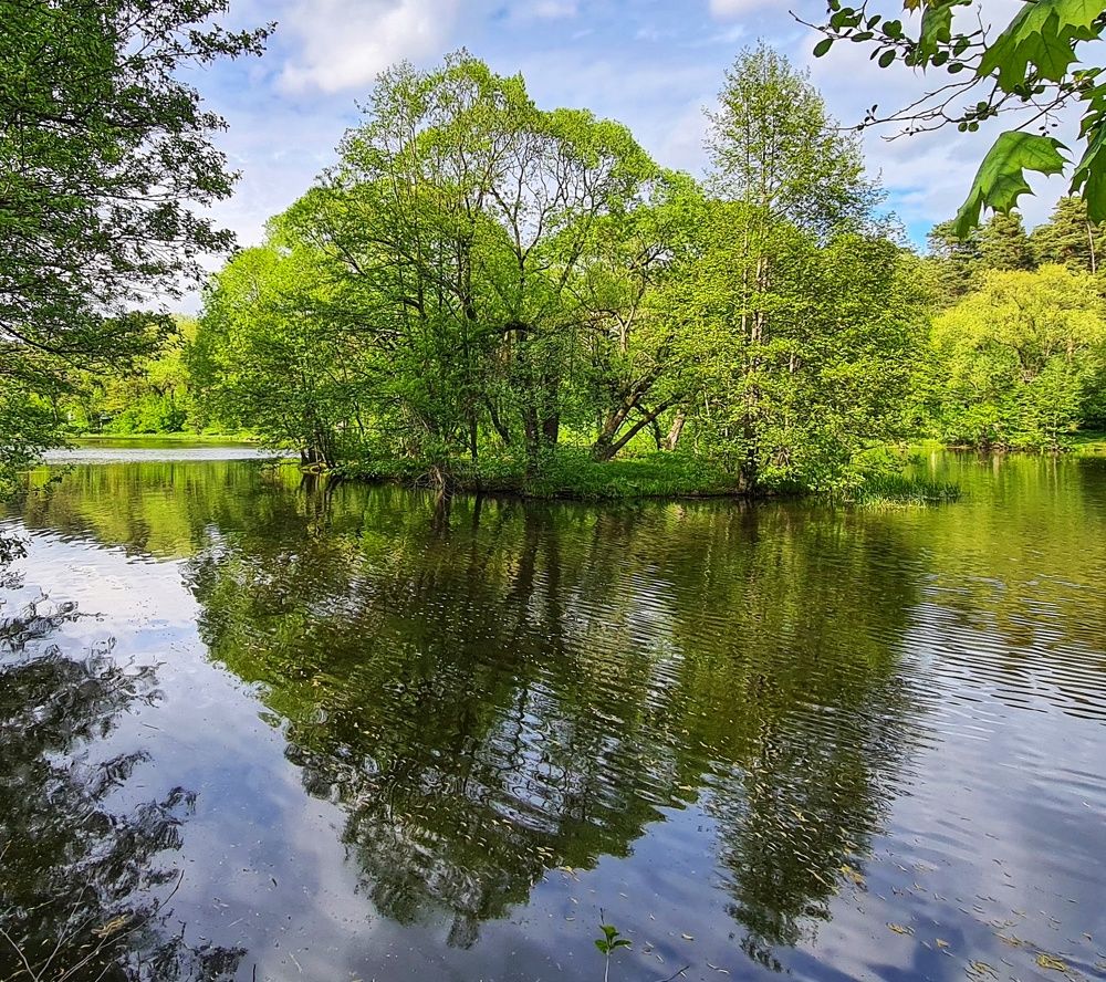 Photograph by Оксана Новикова