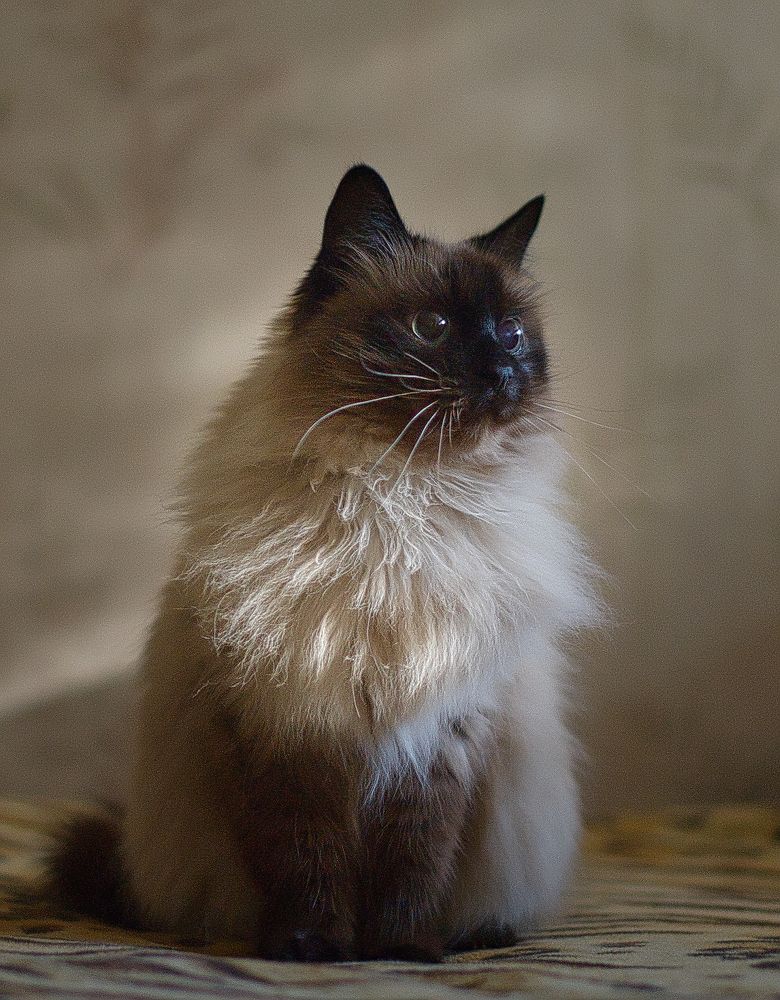 Photograph by Валерий Сарак