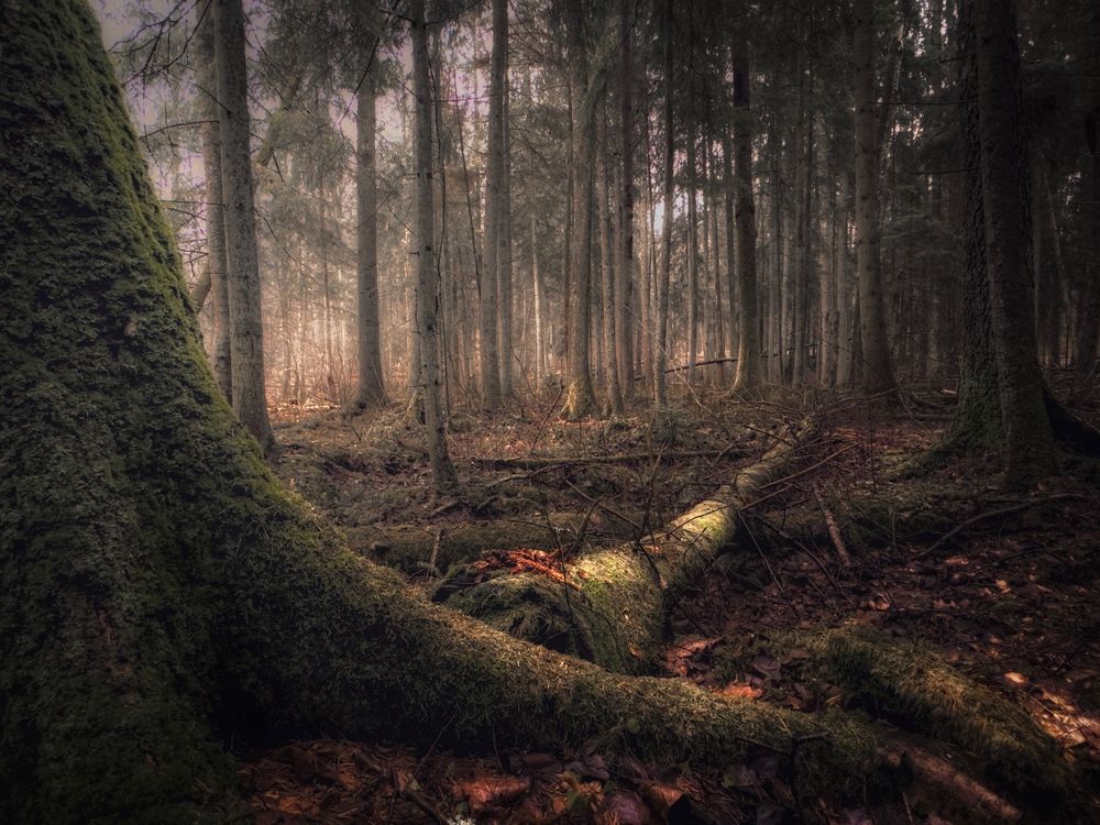 Photograph by Ирина Саакова