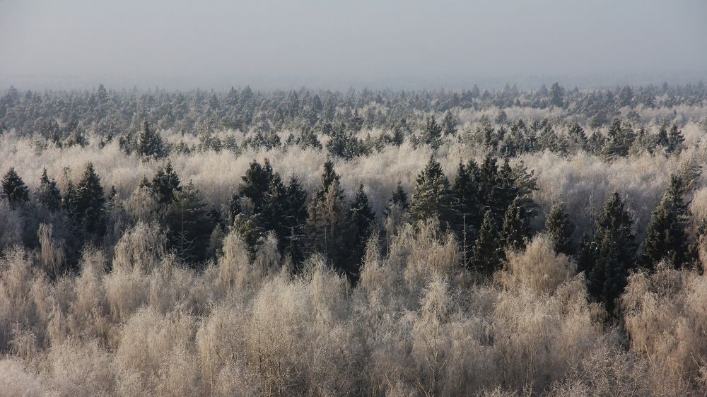 Фотография автора Марият Магомедова