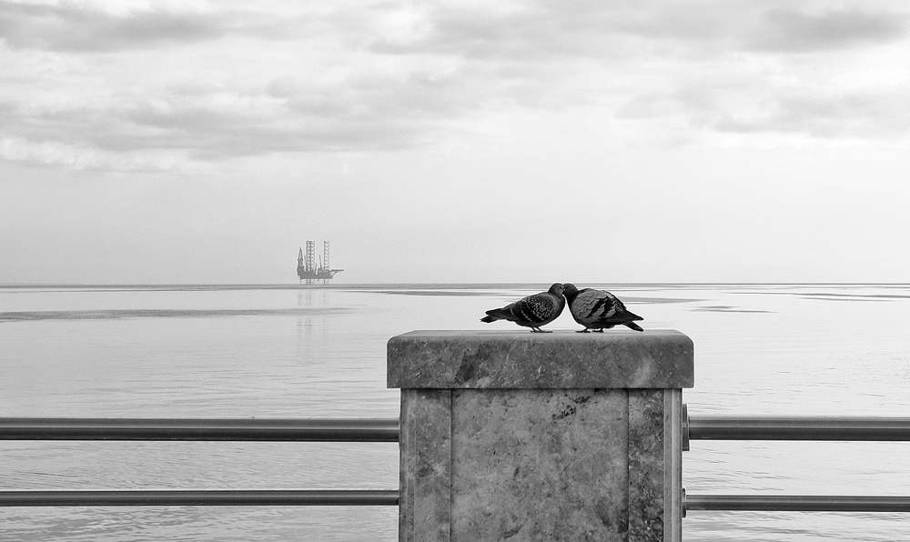 Photograph by Икмет Садыхов