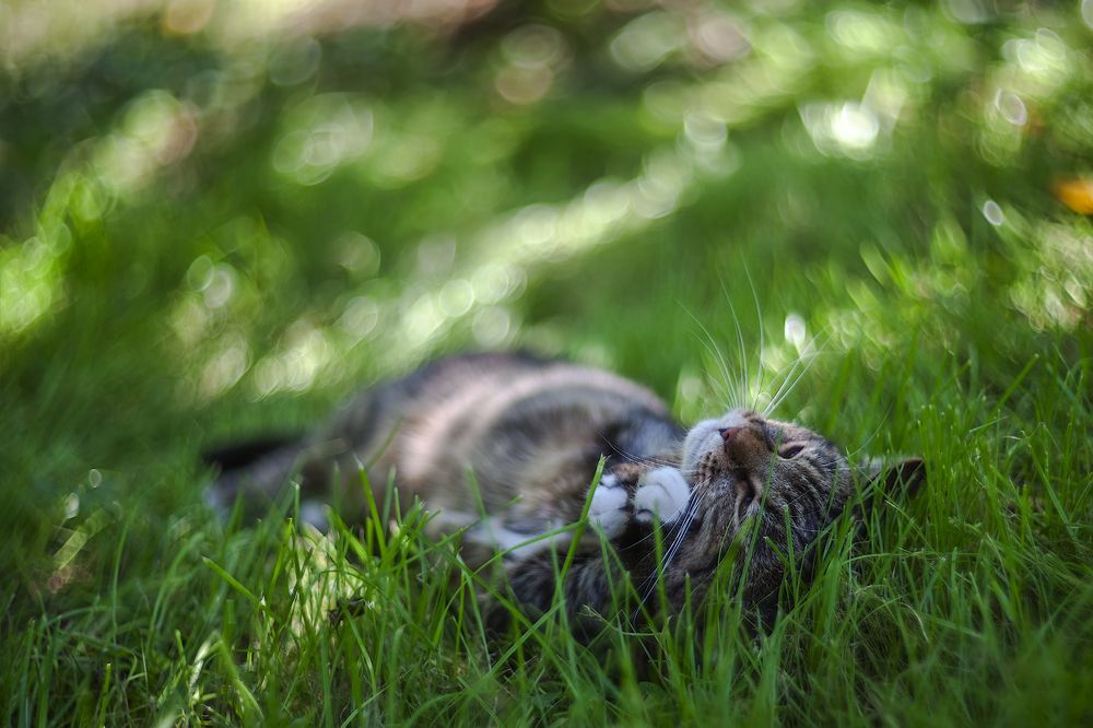 Photograph by Ирина Заколдаева