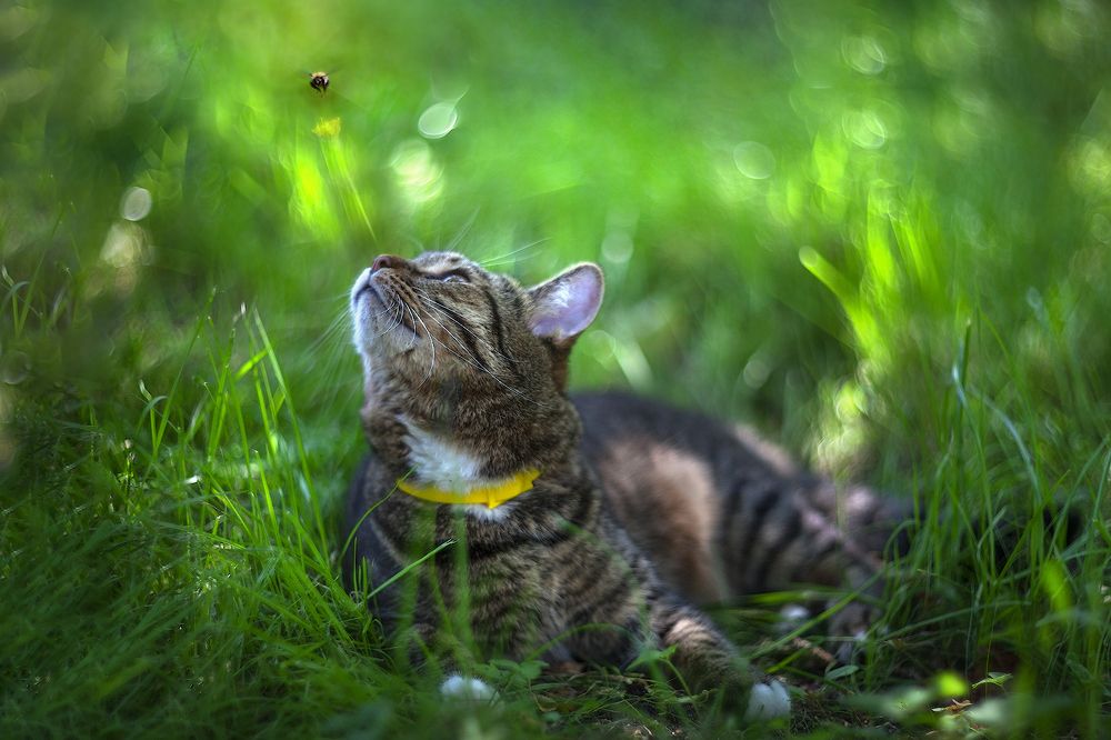 Photograph by Ирина Заколдаева