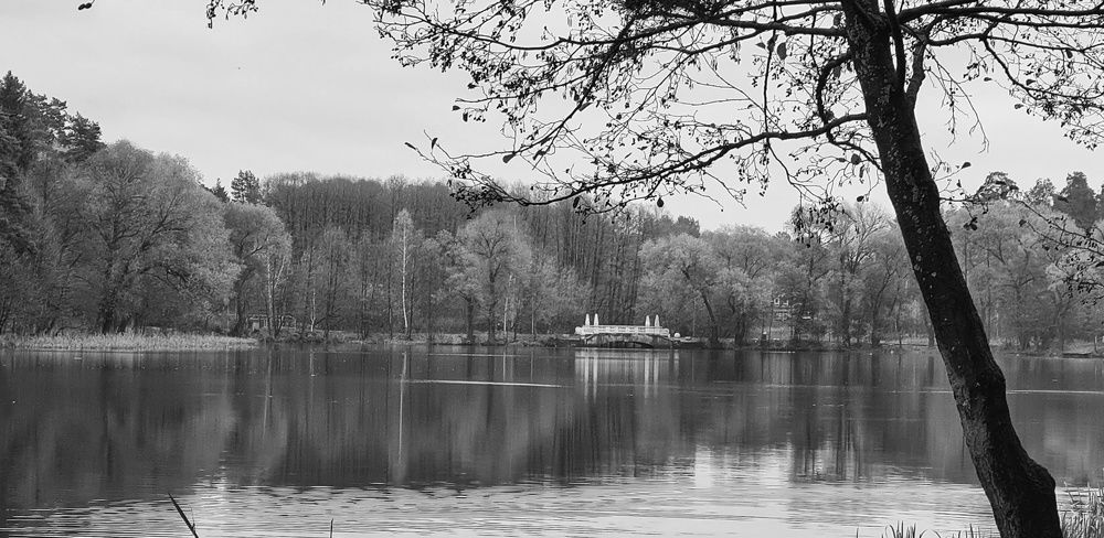 Photograph by Оксана Новикова