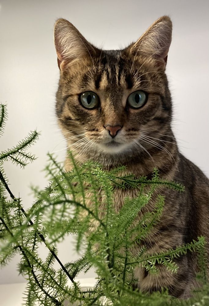 Фотография автора Светлана Т