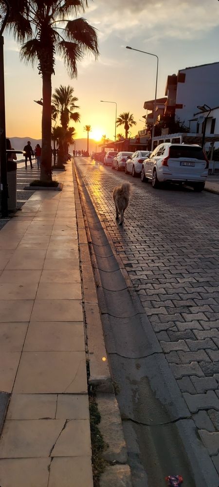 Фотография автора Du AA