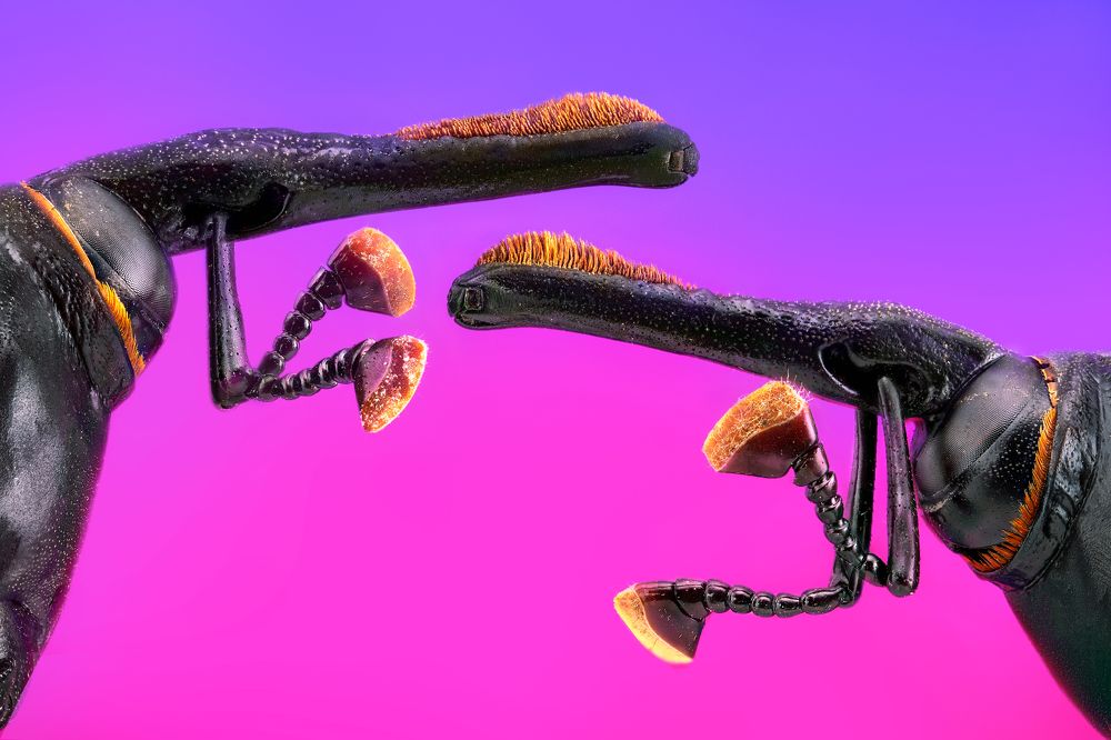 Photograph by Pedro Luis Ajuriaguerra Saiz