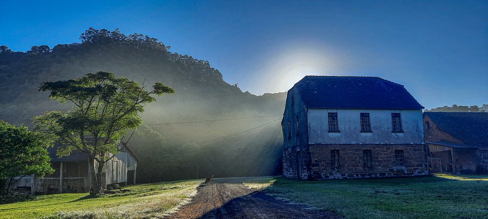 Фотография автора Iara krisna Puntel da Silva