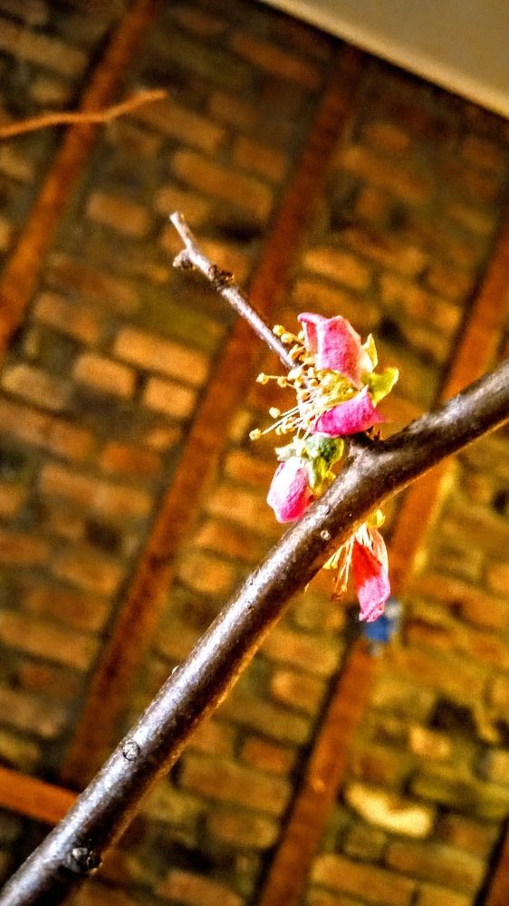 Photograph by Paul Walker