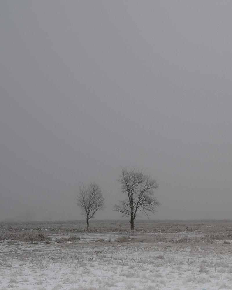 Фотография автора Караваев Антон