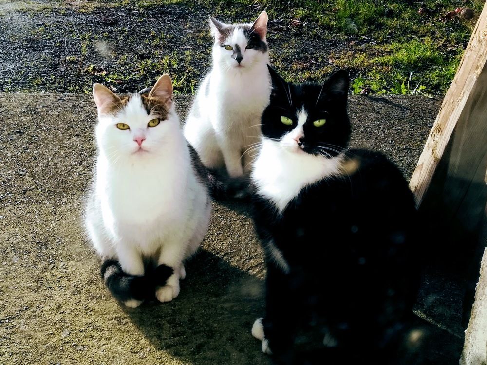 Photograph by Burdikova Inna