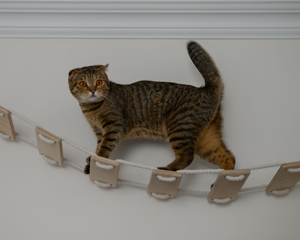 Ну что, кто со мной?