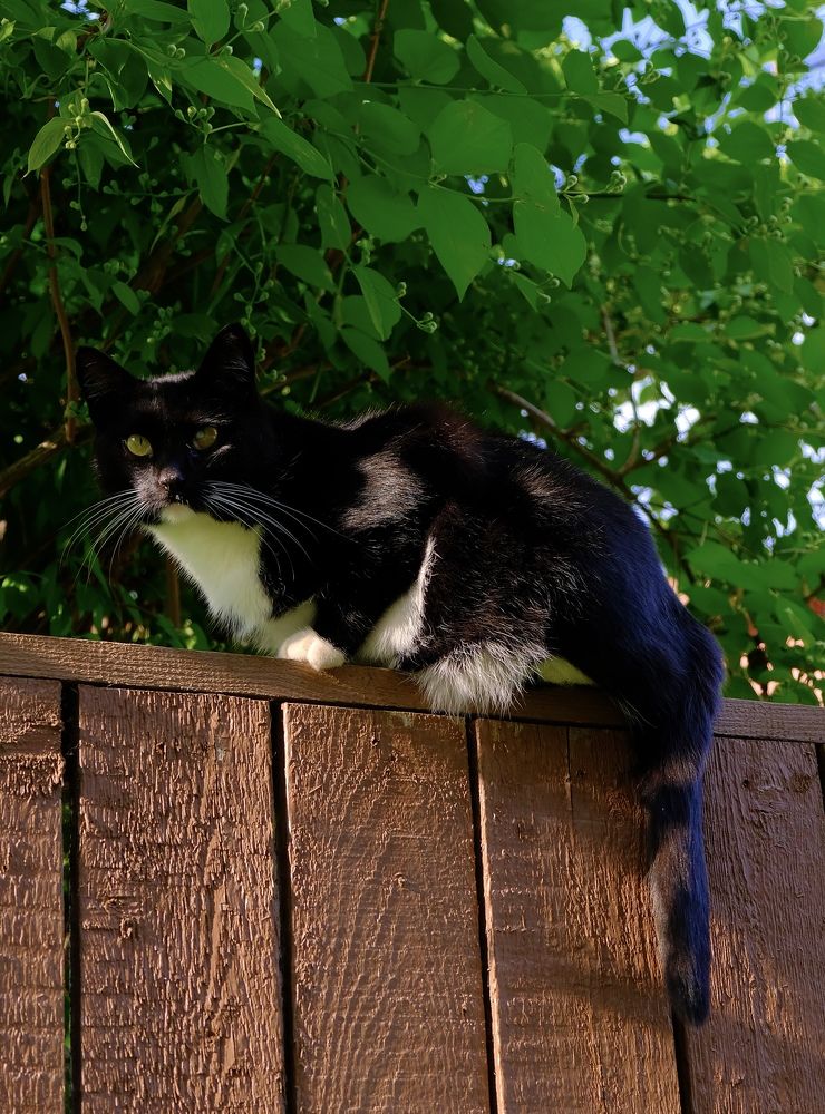 Photograph by Марина Душевина