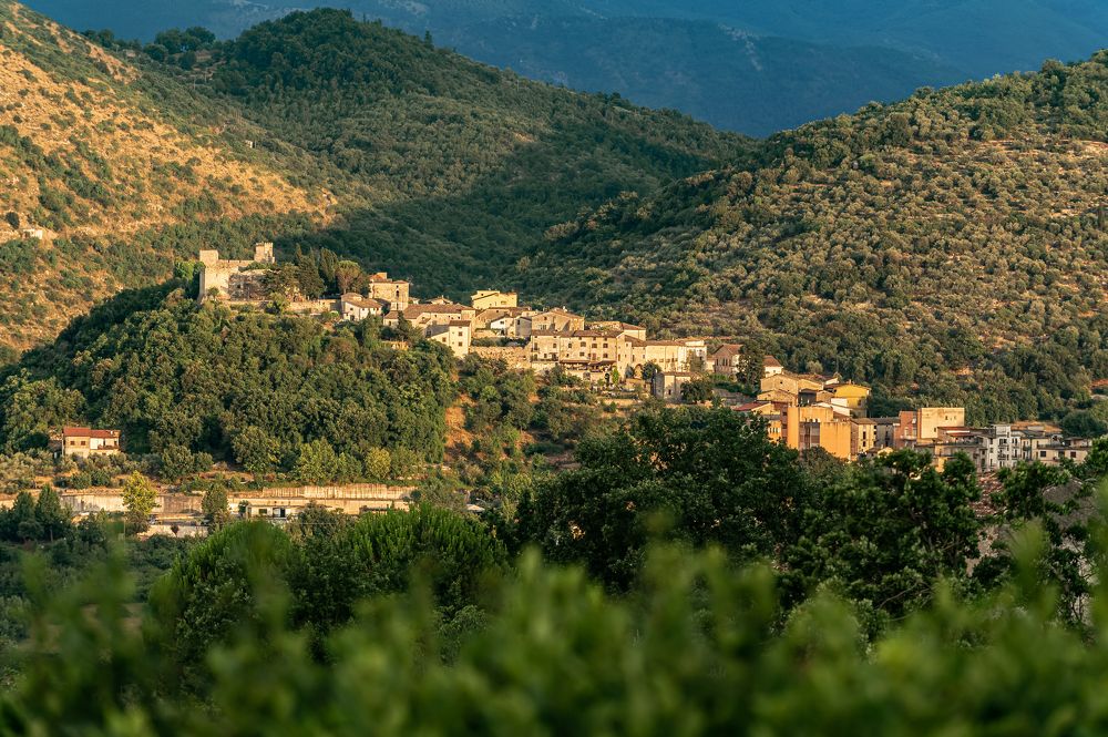 Photograph by Svetlana Soboleva