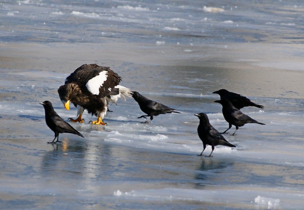 Photograph by Наталья Турчик