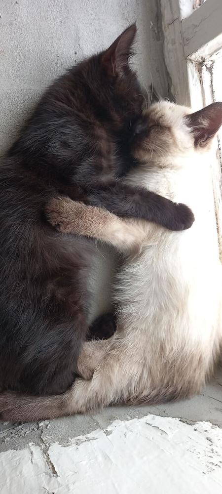 Photograph by Ольга Коробейникова