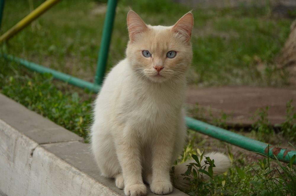 Photograph by Валентин Волк