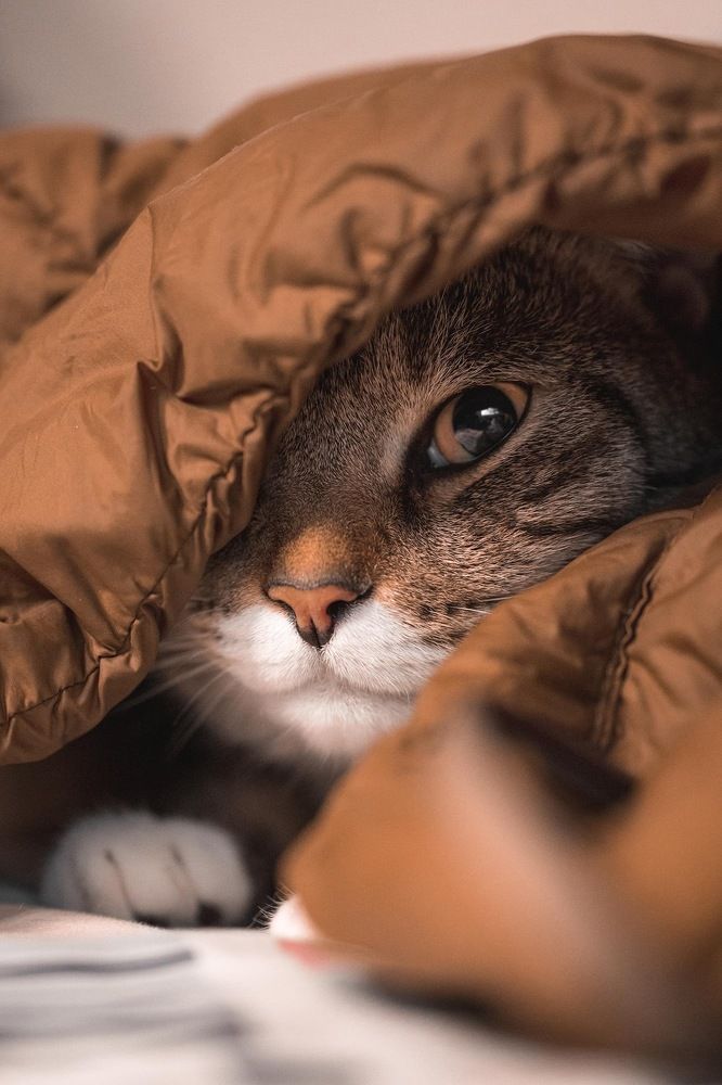 Photograph by Muhammad Faraz