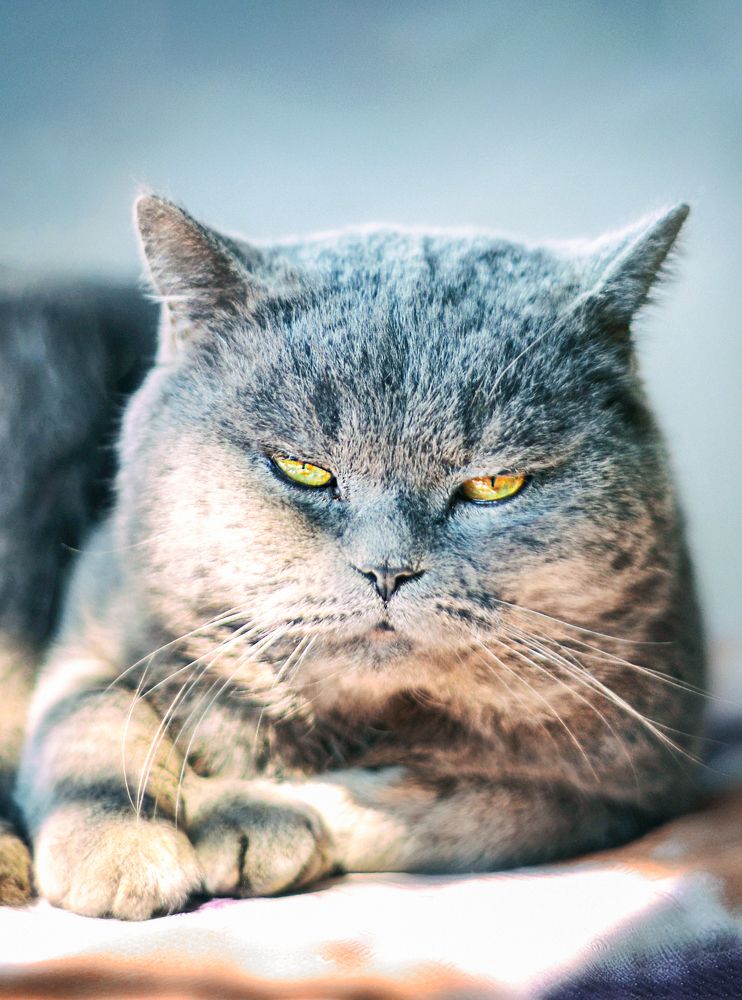 Photograph by Ксения Базарова