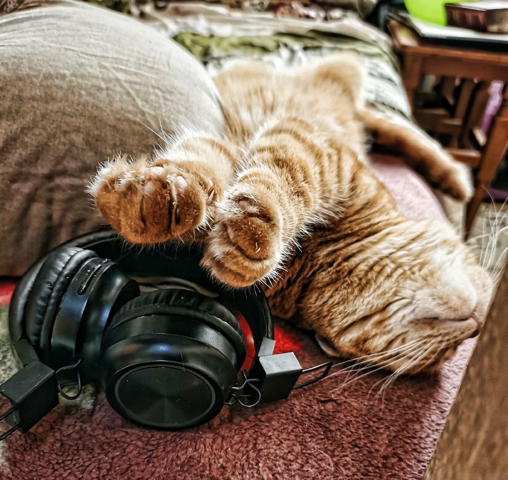 Фотография автора Валерий Цуркан