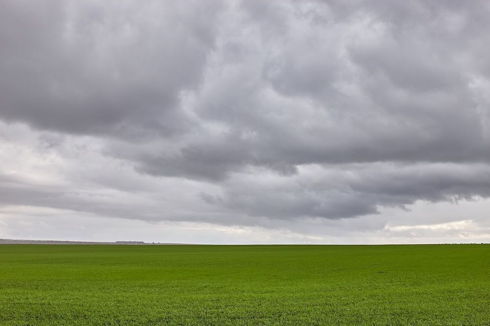 ОКТЯБРЬ УЖ НА ДВОРЕ