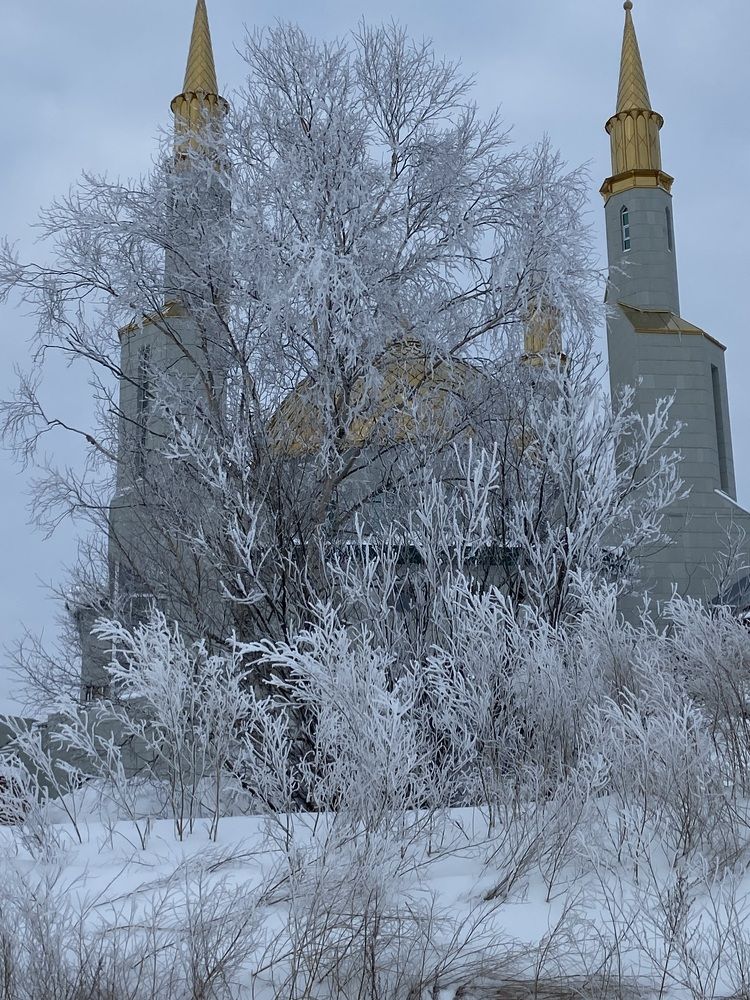 Photograph by Елена Мусина