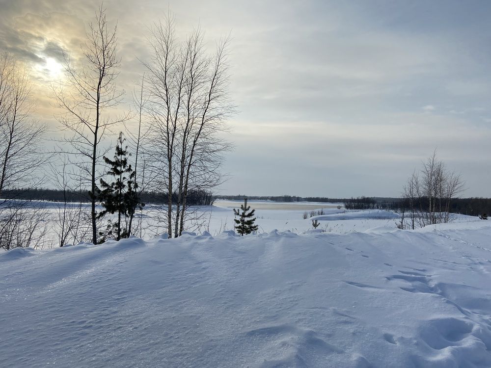 Photograph by Елена Мусина