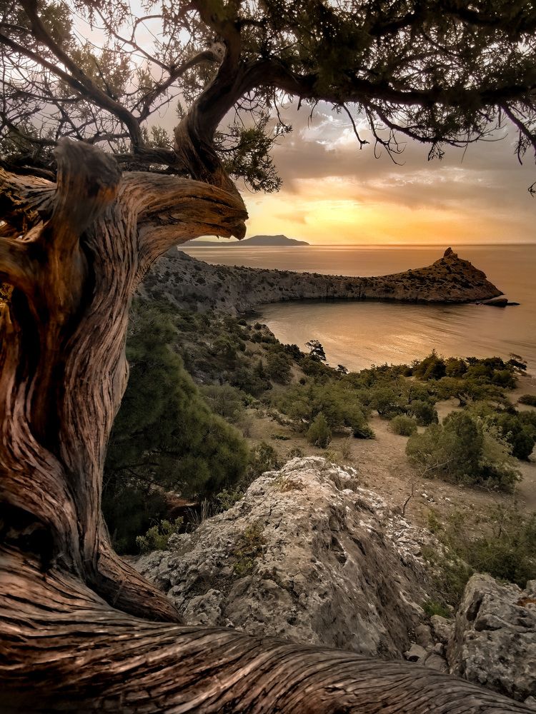 Photograph by Разумов Александр