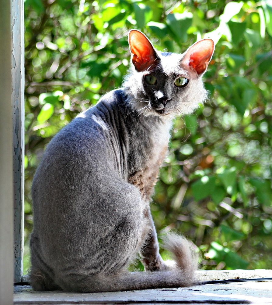 Photograph by вячеслав милов